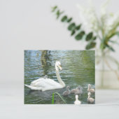 Kute Moeder Swan & Babies DIY Briefkaart (Staand voorkant)