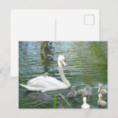 Kute Moeder Swan & Babies DIY Briefkaart (Voorkant / Achterkant)