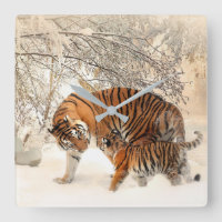 Kute moeder tijger met Baby in sneeuw