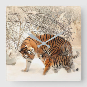 Kute moeder tijger met Baby in sneeuw Vierkante Klok
