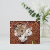 Kute Muis Familie in brood Briefkaart (Staand voorkant)