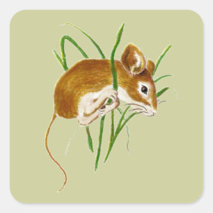 Kute muizen, Waterverf van muizen Dierlijke Natuur Vierkante Sticker