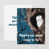Kute Napping Owl Illustratie zo klaar om te vliege (Voorkant / Achterkant)