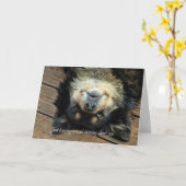 Kute ondersteboven Dog Thinking of You Kaart (Gele Bloem)