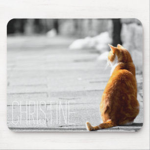 Kute oranje katfoto, aangepaste naam creëer je ei muismat