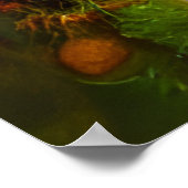 Kute oude, zeer roestachtige Combi van bloemen hip Poster (Hoek)