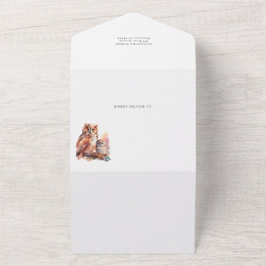 Kute Owl de Uitnodiging van het Baby shower en Boe (Buitenkant)