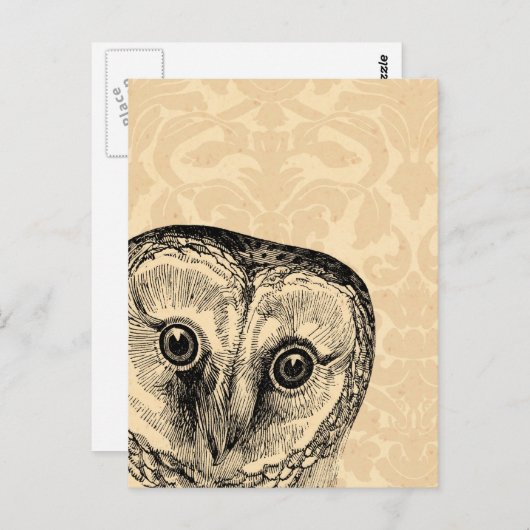 Kute Owl in Black op Tan Damask Briefkaart (Voorkant / Achterkant)