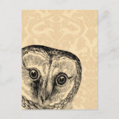 Kute Owl in Black op Tan Damask Briefkaart (Voorkant)
