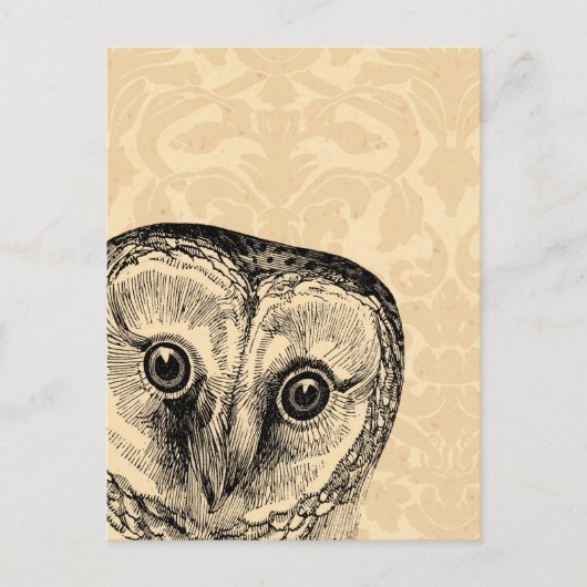 Kute  Owl in Black op Tan Damask Briefkaart (Voorkant)