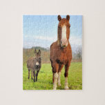 Kute paarden en Donkey Friends Farm Animals Legpuzzel<br><div class="desc">Deze verbluffende puzzelpuzzel is voorzien van een paard en een ezel in een groene weide,  perfecte boerderij vrienden. #paard #donkey #boerderij #dieren #beest #pet #farmlife #buitenshuis #jigzaag #puzzle #jigsawpuzzle #gifts #pret #stockingstuffers #games #natuur</div>