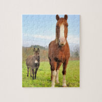 Kute paarden en Donkey Friends Farm Animals