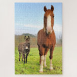 Kute paarden en Donkey Friends Farm Animals Legpuzzel<br><div class="desc">Deze verbluffende puzzelpuzzel is voorzien van een paard en een ezel in een groene weide,  perfecte boerderij vrienden. #paard #donkey #boerderij #dieren #beest #pet #farmlife #buitenshuis #jigzaag #puzzle #jigsawpuzzle #gifts #pret #stockingstuffers #games #natuur</div>