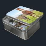 Kute paarden en Donkey Friends Farm Animals Puzzel<br><div class="desc">Deze prachtige puzzel heeft een paard en ezel in een groen weiland,  perfecte boerderijen vrienden. #horse #donkey #boerderij #animals #animal #pet #farmlife #outdoors #jigsaw #puzzle #jigsawpuzzle #gifts #gift #fun #stockingstuffers #games #natuur</div>