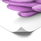 Kute Paarse Baby Bunny Wearing Glasses on White Poster (Hoek)