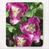 Kute paarse tulpen in de tuin muismat (Voorkant)