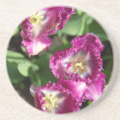 Kute paarse tulpen in de tuin zandsteen onderzetter (Voorkant)