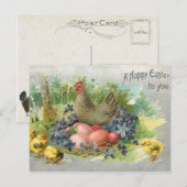 Kute  paaseieren, kippen en kippen briefkaart (Voorkant / Achterkant)