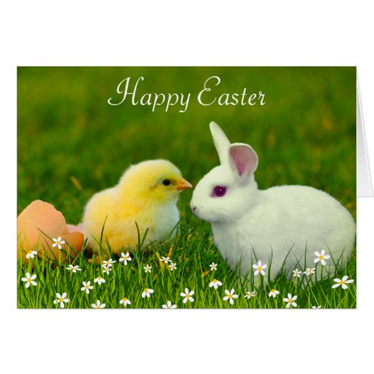 Kute paashaas en sla met bloemen (Voorkant Horizontaal)