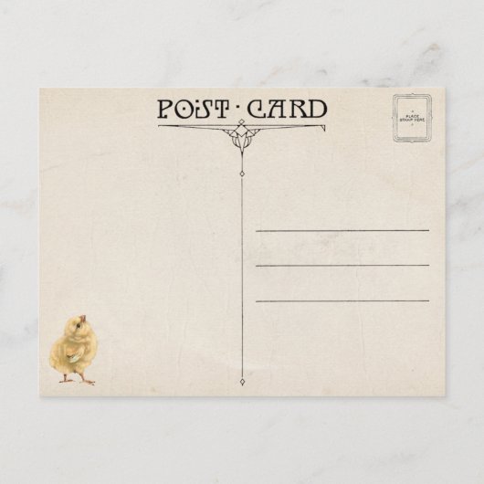 Kute  paaskippen en lentbloemen briefkaart (Achterkant)