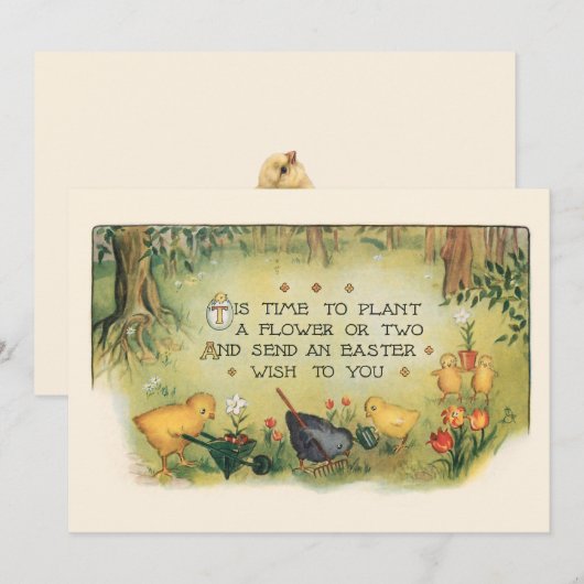 Kute  paaskippen en lentbloemen feestdagenkaart (Voorkant / Achterkant)