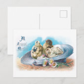 Kute  paaskuikens in stro-Pet Feestdagenkaart (Voorkant / Achterkant)