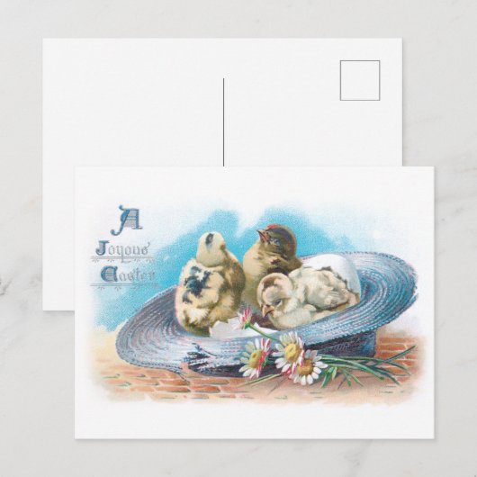 Kute paaskuikens in stro-Pet Feestdagenkaart (Voorkant / Achterkant)