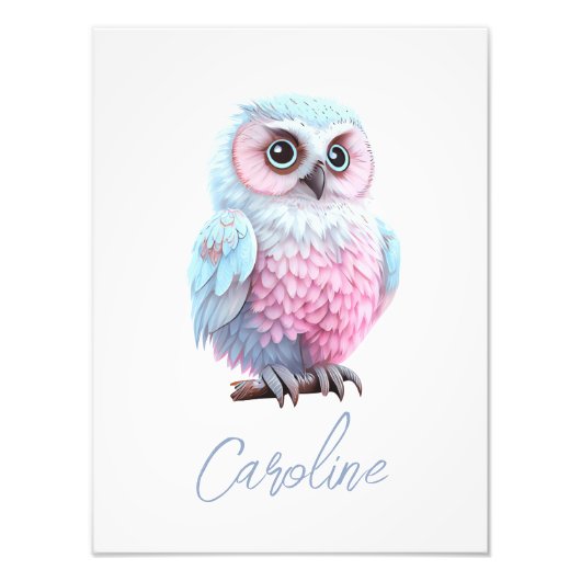 Kute Pastel Roze en Blauwe Cartoon Owl Foto Afdruk (Voorkant)