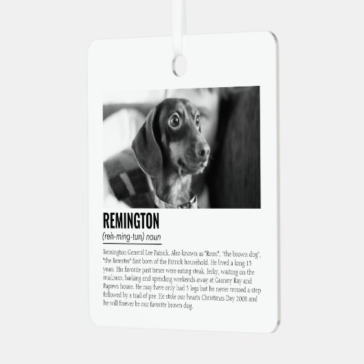 Kute Personalized Pet Metalen Ornament (Voorkant links)
