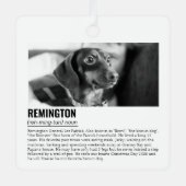 Kute Personalized Pet Metalen Ornament (Voorkant)