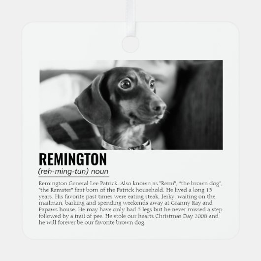 Kute Personalized Pet Metalen Ornament (Voorkant)