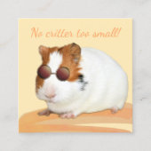 Kute Pet Care Guinea Pig QR Code Vierkante Visitekaartje (Voorkant)