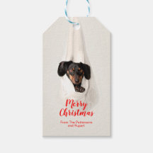 Kute Pet Family Puppy Dog met kerstfoto