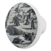 Kute pinguïns op bekeramische romp keramische knop (Rechts)