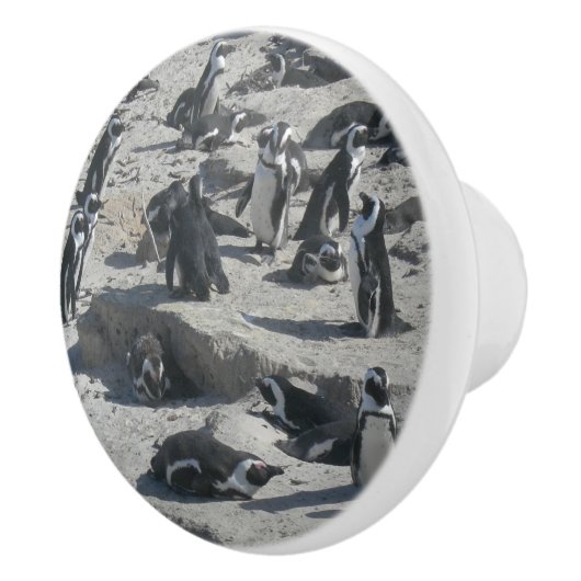 Kute pinguïns op bekeramische romp keramische knop (Rechts)