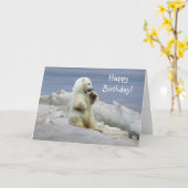 Kute poolse Beer Cub & Arctic Ice Birthday Kaart (Gele Bloem)