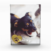 Kute print Gold Paw Print Pet Foto (Voorkant)