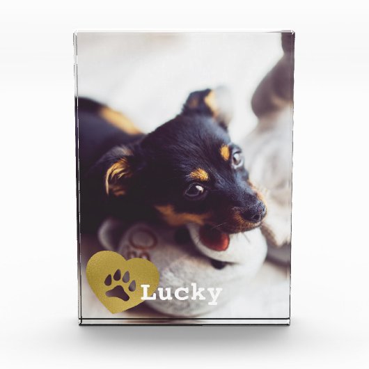 Kute print Gold Paw Print Pet Foto (Voorkant)