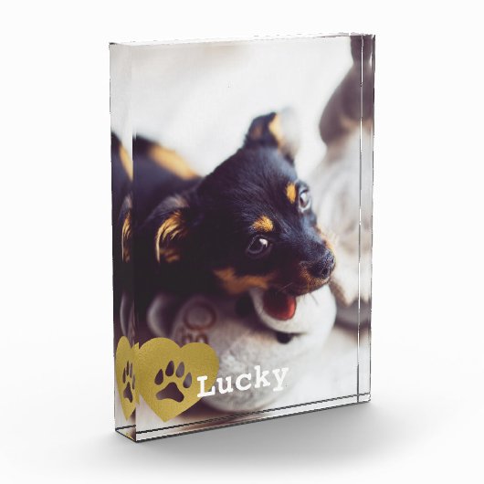 Kute print Gold Paw Print Pet Foto (Links)