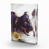 Kute print Gold Paw Print Pet Foto (Rechts)