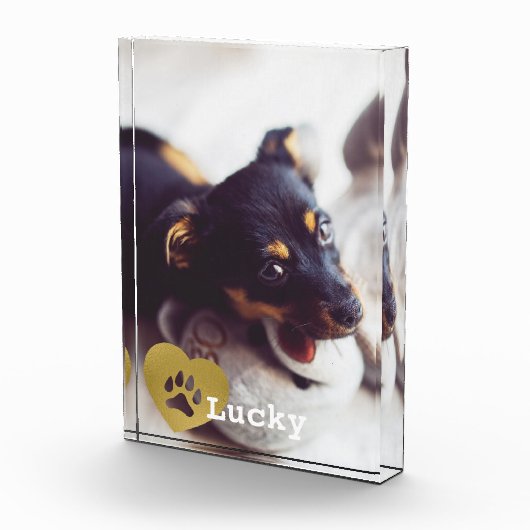 Kute print Gold Paw Print Pet Foto (Rechts)