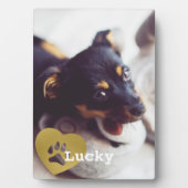 Kute print Gold Paw Print Pet Foto Fotoplaat (voorkant)