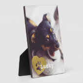 Kute print Gold Paw Print Pet Foto Fotoplaat (Zijkant)