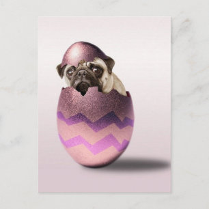 Kute Pug Easter Egg Design Feestdagenkaart