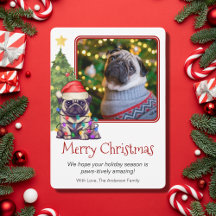 Kute pug en kerstboom Pet Dog Eén foto