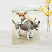 Kute Puppies die op strand spelen Kaart (Gele Bloem)