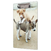 Kute Puppies die op strand spelen Klembord (Links)