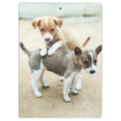 Kute Puppies die op strand spelen Klembord (Achterkant)