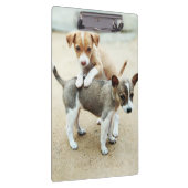 Kute Puppies die op strand spelen Klembord (Rechts)