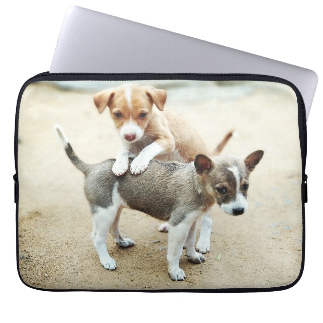Kute Puppies die op strand spelen Laptop Sleeve (Voorkant)